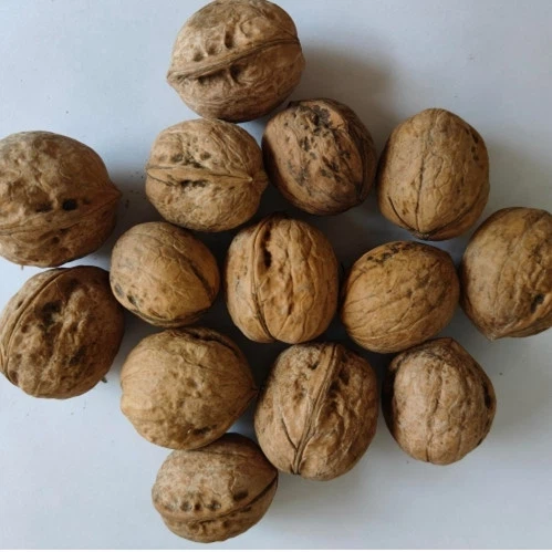 Inshell Walnuts Online